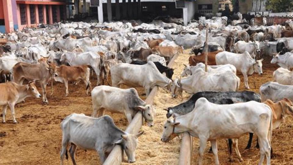 Orientation Training to Livestock Extension Officers on Inculcating Farm Business Management Techniques among the Livestock Farmers